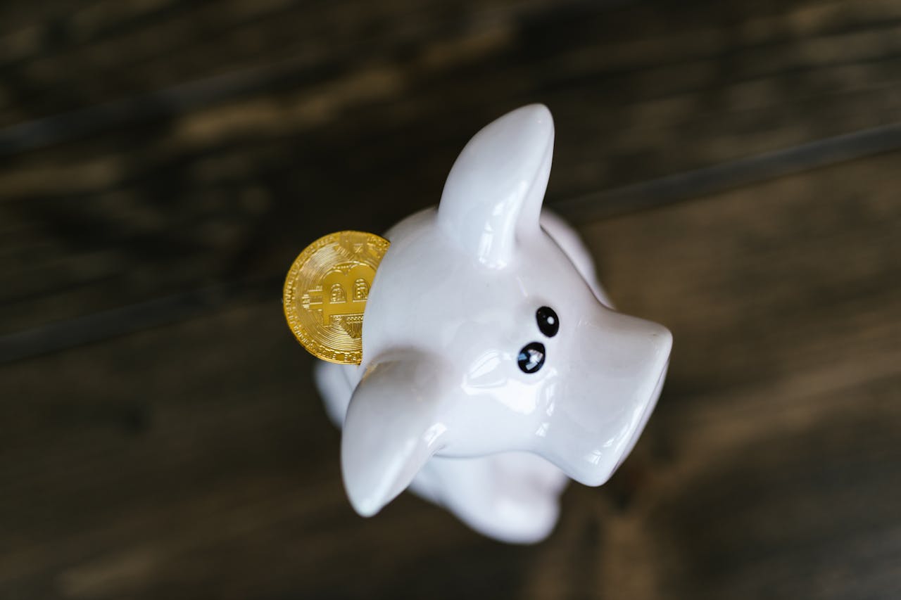 services-01 Close-up of a bitcoin coin inserted in a white piggy bank, symbolizing cryptocurrency savings.